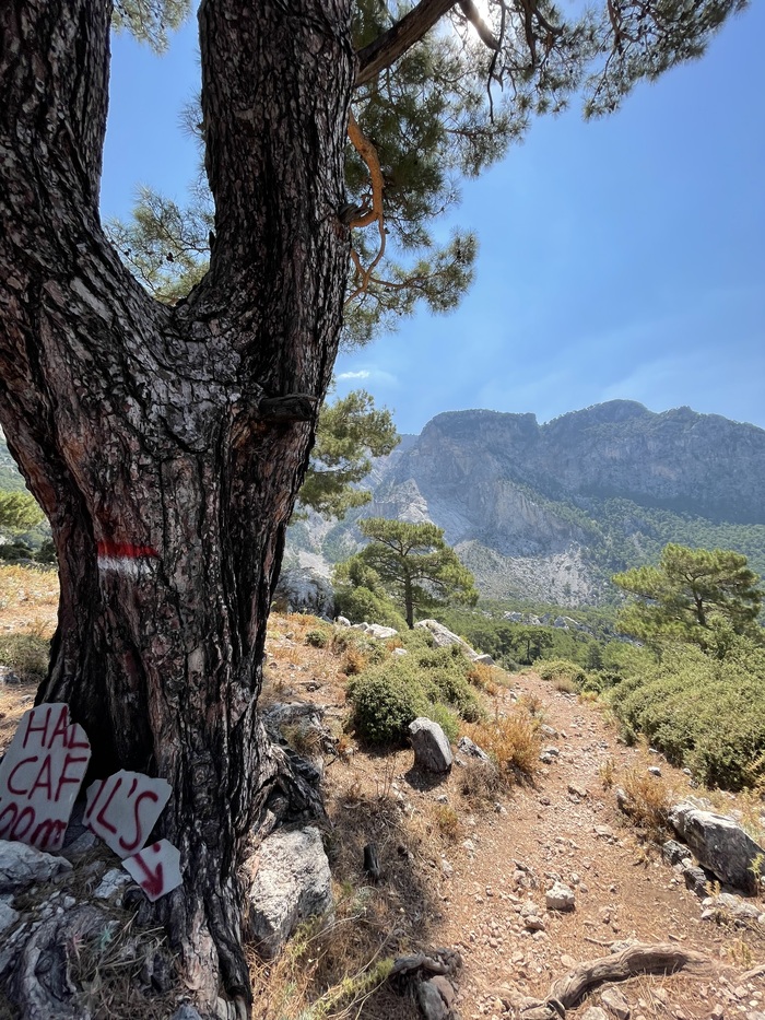 �������� �����