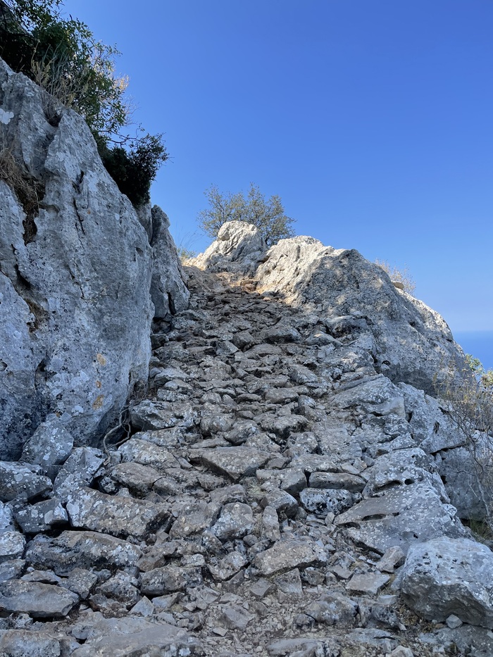 ����� �����