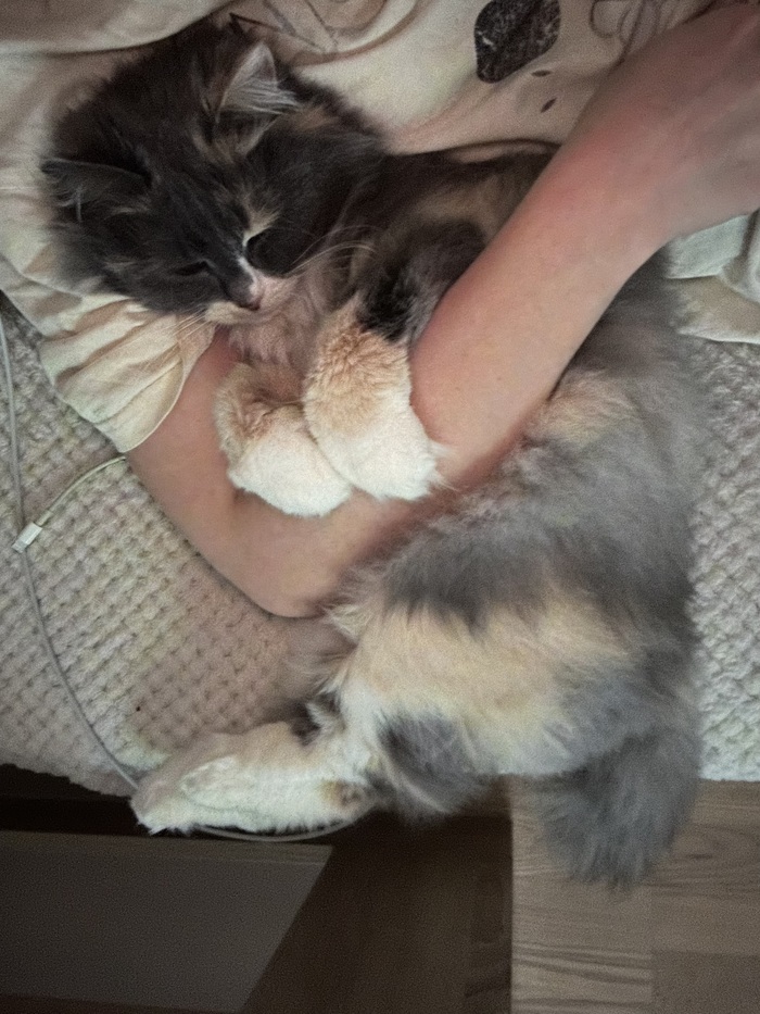 ���� ����� ������, ���������� � ������� ���� ���������, �� ����� ���������� ��� �����❤️🙏🏻