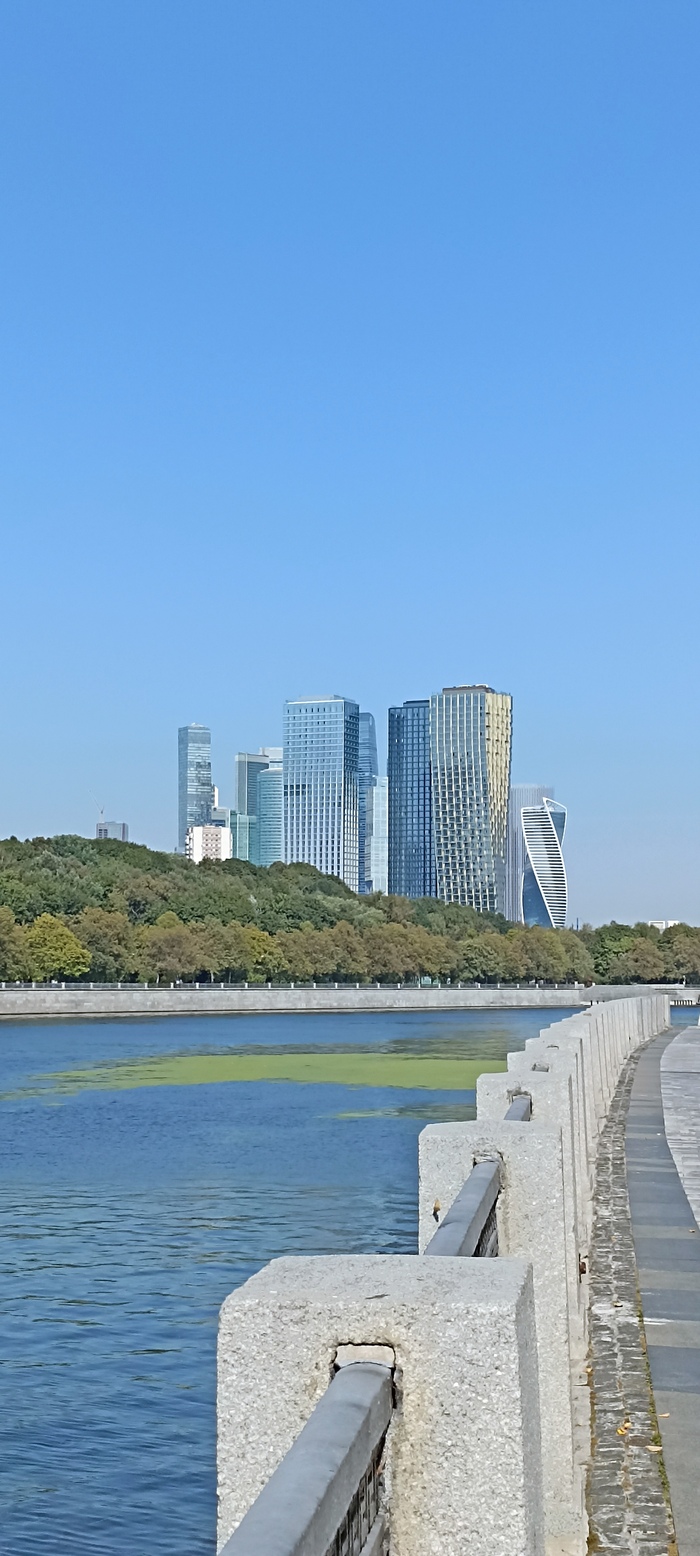 Просто фотография