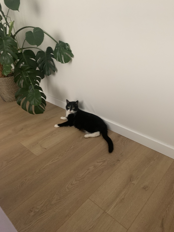 ����� ��������� �� ���. ����. ���