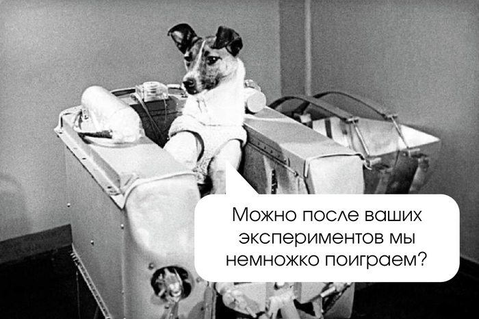 Лайка. Источник оригинального изображения: <!--noindex--><a href="https://pikabu.ru/story/malenkie_tragedii_v_kosmose_istorii_zhivotnyikhkosmonavtov_11797530?u=https%3A%2F%2Fclck.ru%2F3DEG5b&t=https%3A%2F%2Fclck.ru%2F3DEG5b&h=9569aab29b80a268f9929d571be5d8056ce10901" title="https://clck.ru/3DEG5b" target="_blank" rel="nofollow noopener">https://clck.ru/3DEG5b</a><!--/noindex-->