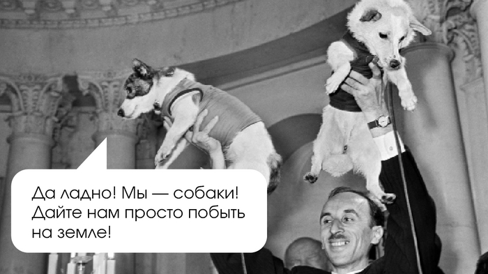 Белка и Стрелка. Источник оригинального изображения: <!--noindex--><a href="https://pikabu.ru/story/malenkie_tragedii_v_kosmose_istorii_zhivotnyikhkosmonavtov_11797530?u=https%3A%2F%2Fclck.ru%2F3DEG6q&t=https%3A%2F%2Fclck.ru%2F3DEG6q&h=a19a7892c1da0be7236b12aa312a87dc27aad7ca" title="https://clck.ru/3DEG6q" target="_blank" rel="nofollow noopener">https://clck.ru/3DEG6q</a><!--/noindex-->