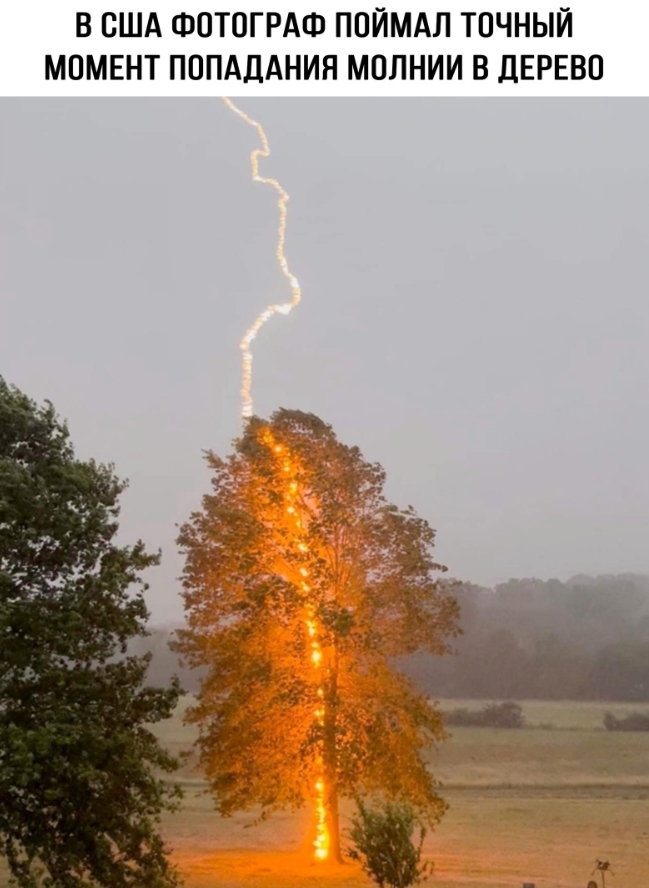 ������...