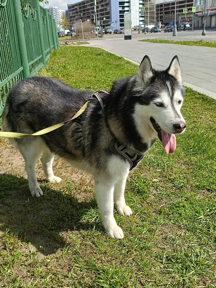 �� ��������