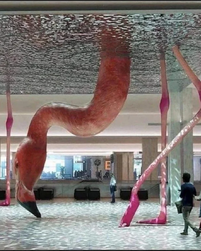 Pink flamingo, child of sunset - Tampa, USA, Installation, Flamingo, Repeat