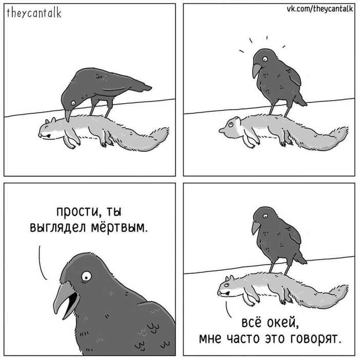 CROW анекдот : Кроулинг : maxvi23.ru Talks