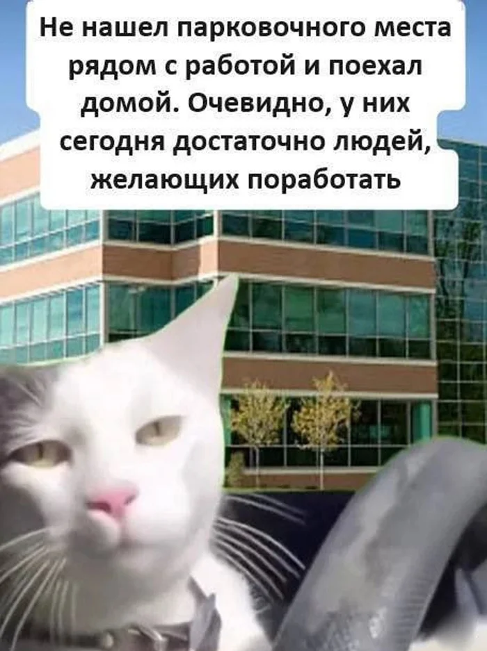 Parking space - Humor, Telegram (link), Picture with text