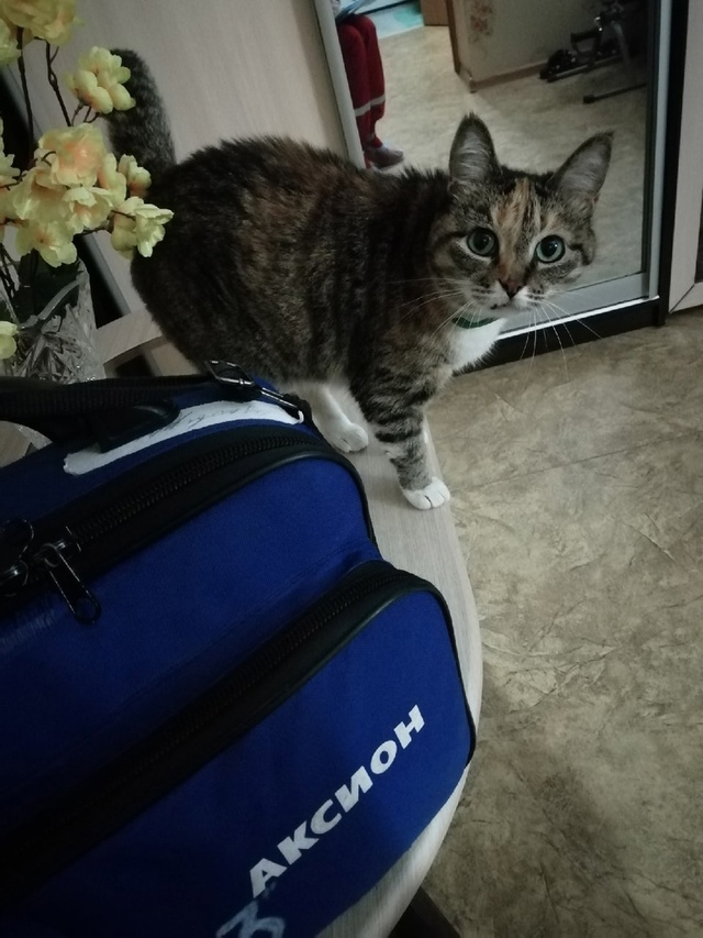 Эндокринолог