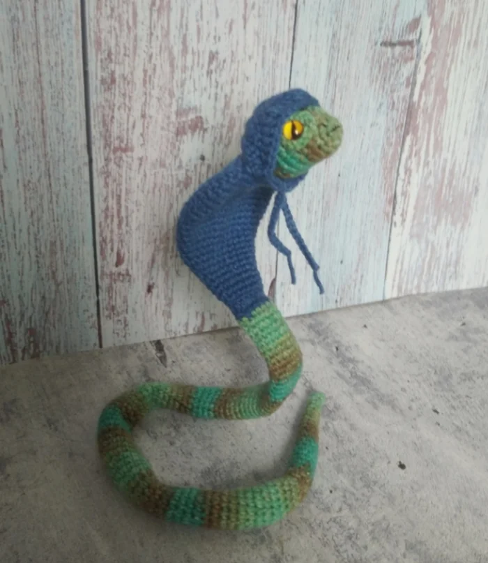 Snake in a hoodie - My, Needlework, Handmade, Crochet, Knitting, Knitted toys, Snake, Hoodie, Symbol of the year, 2025, Amigurumi, Needlework without process