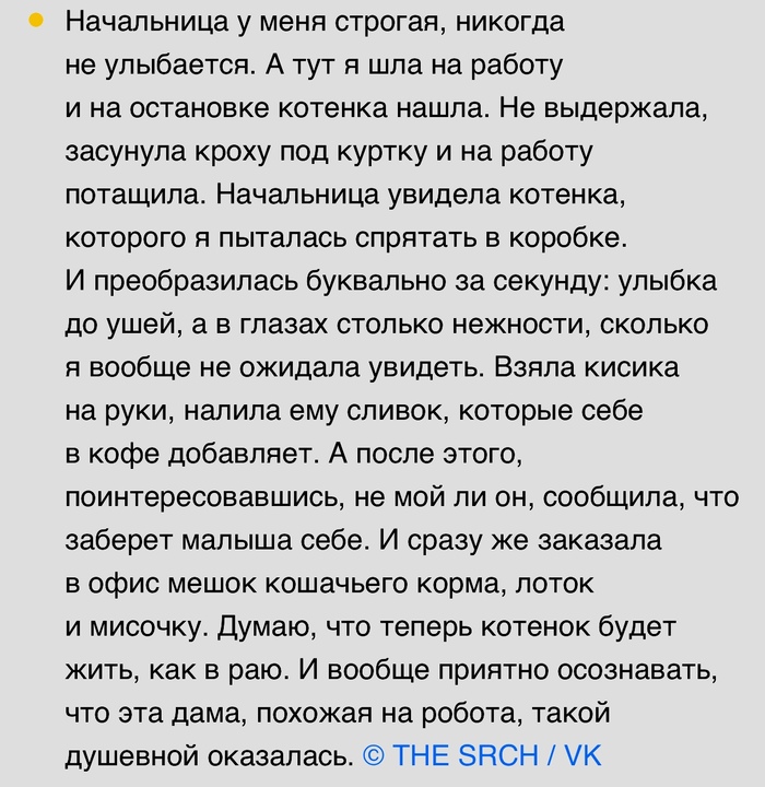 Пожалела котенка