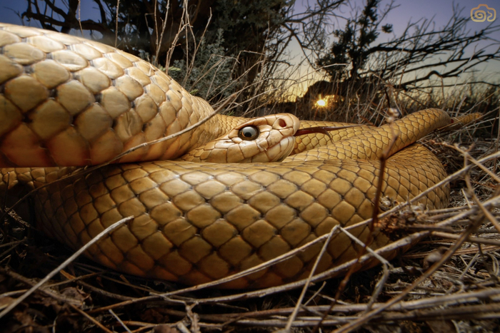 Ты все ещё думаешь, что это ТВОЁ поле?