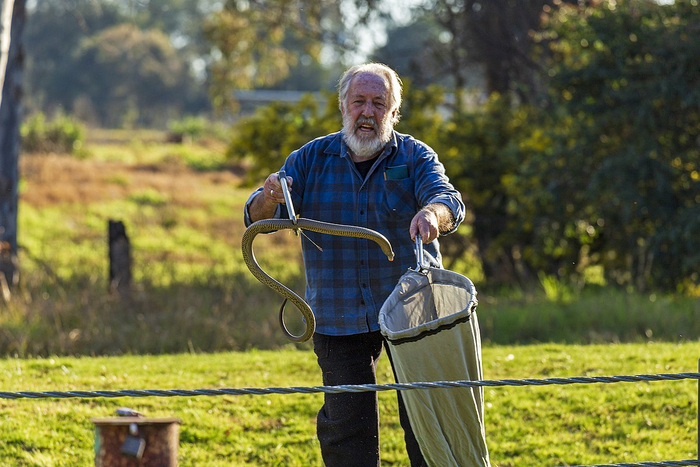 Пока вы жалуйтесь на сорняки, австралийские фермеры собирают с полей змей и не ноют!
