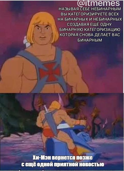 About non-binary individuals - Non-binary, Humor, Picture with text, Memes, Not like that, He-Man, Hardened