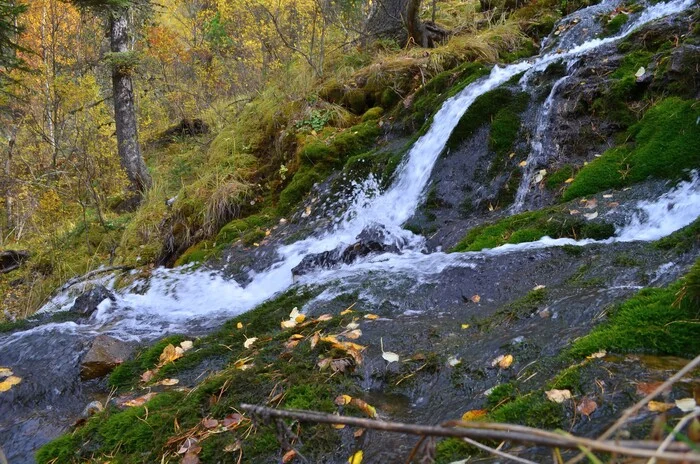 Таежный водопад на Алтае - Моё, Фотография, Пейзаж, Туризм, Тайга, Водопад, Республика Алтай, Лес, Дерево, Длиннопост