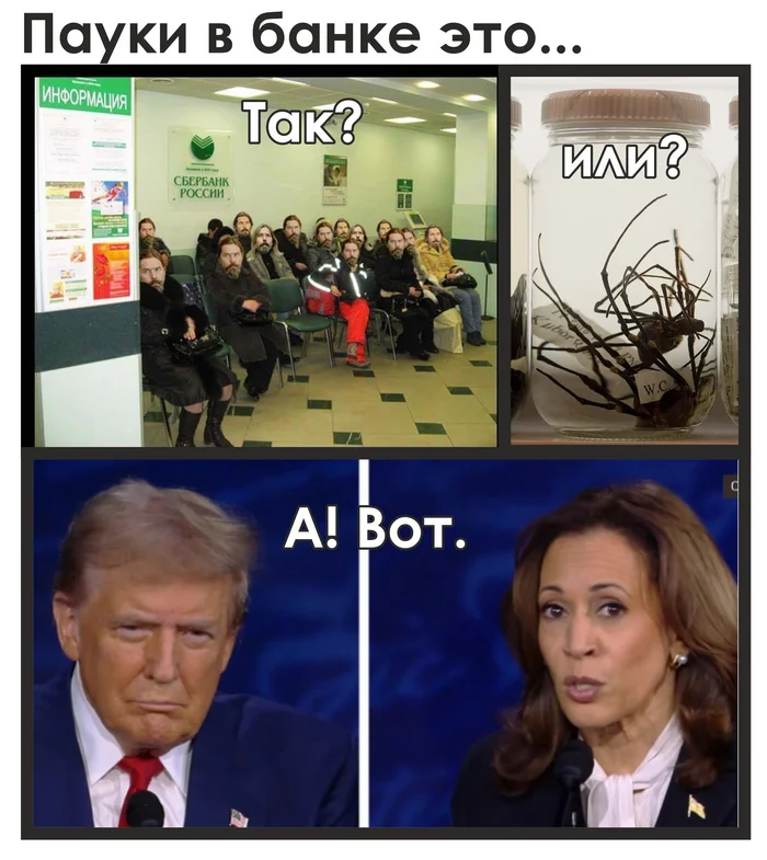 Spiders in a Jar - My, Memes, USA, Donald Trump, Picture with text, US elections, Kamala Harris