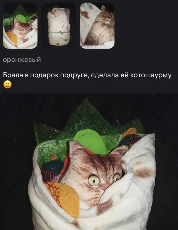 Cat shawarma as a gift - Memes, Picture with text, Milota, Humor, cat, Presents