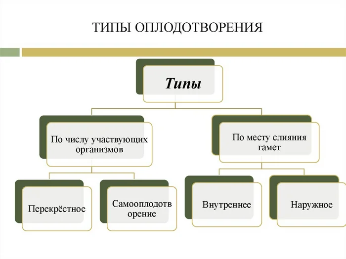 Ответ Аноним в «Ответ на Не служил - не мужик» - Женщины, Мужчины, Роды, Роддом, Служба, Текст, Ответ на пост, Волна постов, Мат