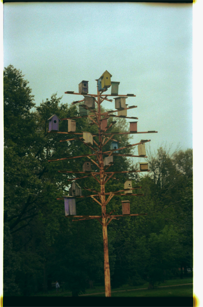 Это уже дома