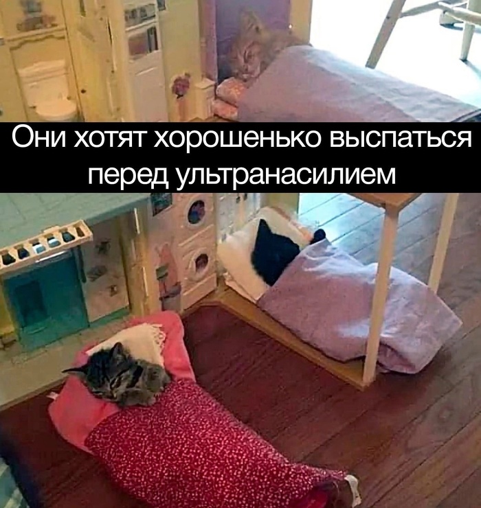    , , , , ,   