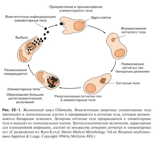 Chlamydial proctitis - My, Treatment, The medicine, Proctology, Chlamydia, STDs