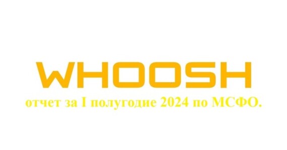 Вуш (WUSH): отчет за I полугодие 2024 по МСФО. Рост основных показателей, включая долг - Моё, Дивиденды, Фондовый рынок, Инвестиции в акции, Акции, Инвестиции