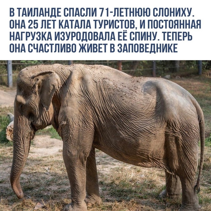 Хэппиэнды ещё случаются