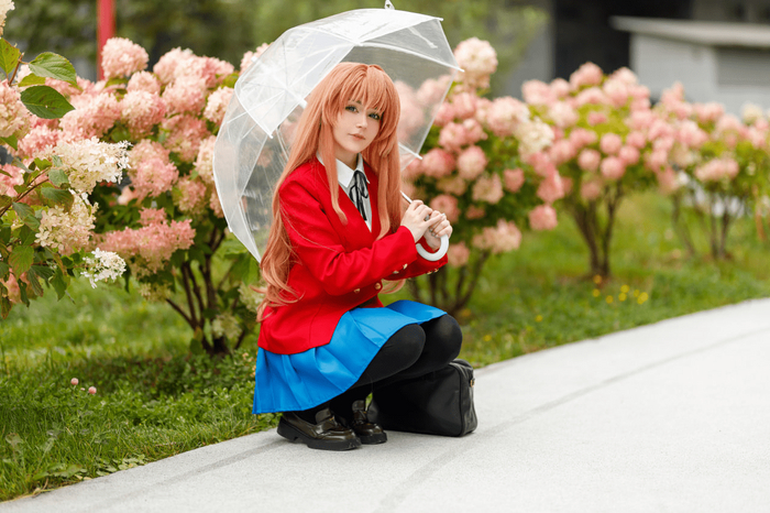 Айсака Тайга из аниме «Toradora!»