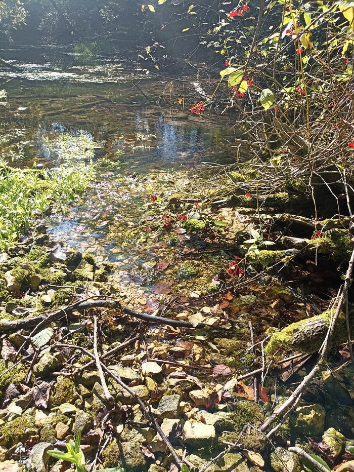    ,          .  " ".  -  .      .