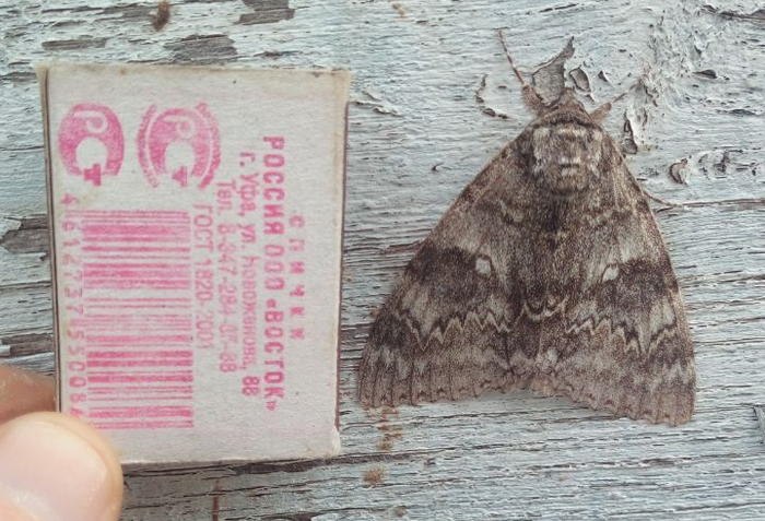 �������� ����� ������.