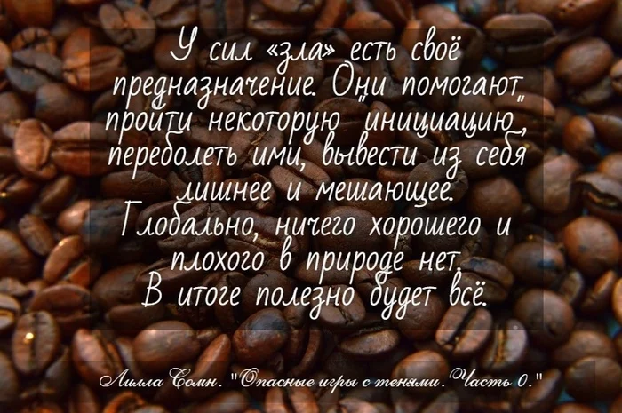 Тени - Моё, Философия, Цитаты, Эзотерика, Зачем так жить, Добро и Зло, Посоветуйте книгу, Картинка с текстом