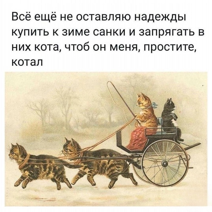     , , , , Telegram ()