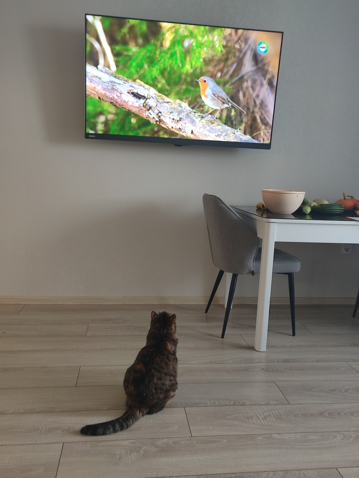 А чем вы занимаетесь в свободное от еды и сна время?