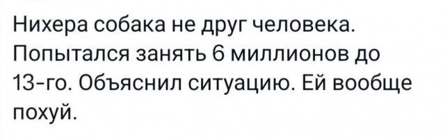 Эксперимент... - Картинка с текстом, Собака, Займ, Ситуация, Непонимание, Эксперимент, Странный юмор, Юмор, Мат