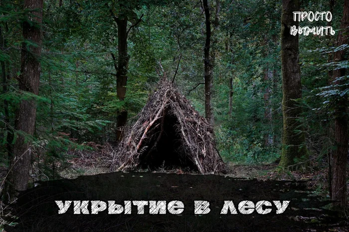 Shelter in the Woods: How to Build a Safe Home from Scrap Materials - My, Survival, Forest, Education, Nature, Article, Hike, Shelter, Hut, House, Asylum, Camping, Travels, Bad weather, Instructions, Comfort, Creation, Building, With your own hands, Protection, Drawing, Longpost