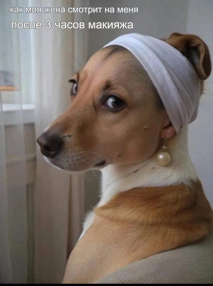 I don't have a wife, but I do have a meme - Picture with text, Memes, Humor, Wife, Dog, Girl with a pearl earring, Photoshop