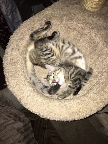 Знак @ - надо переименовать...