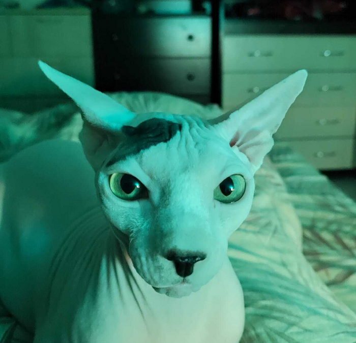 ��������� ������� ������ �����