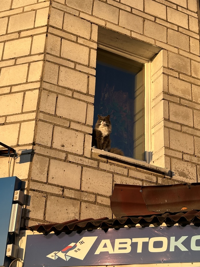 Контролирует обстановку