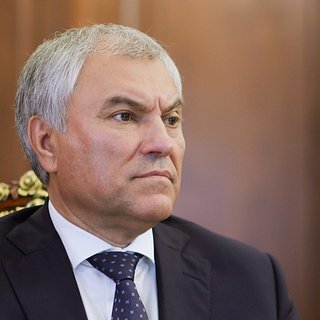 Volodin: Most MPs Will Support Ban on Migrants Bringing Their Families - State Duma, State, Law, Legislation, Bill, Deputies, Viacheslav Volodin, Liberal Democratic Party, Politics, Initiative, Migrants, Migration, Migration policy, Migration legislation, Text, TASS, news, Fresh, Russia