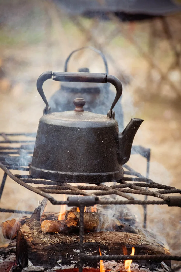 Good morning! - My, Search, Forest, Nature, Relaxation, Camping, Tourism, Search squad, Bonfire, Breakfast, Kettle