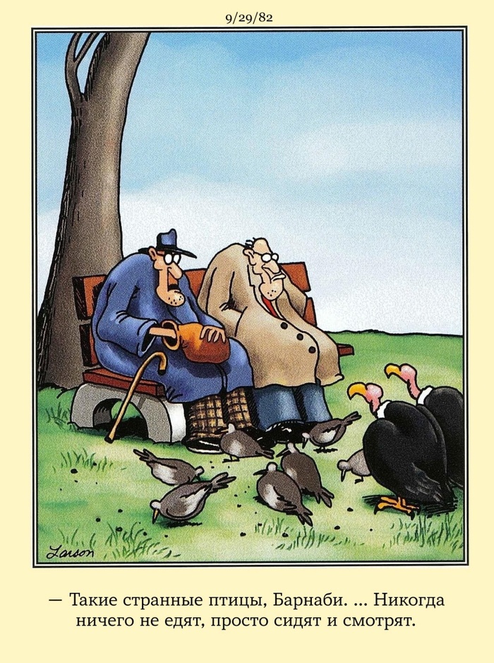   , , , The Far Side