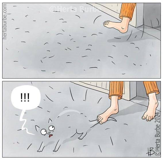 Teleportation of a cat - Comics, Herta Burbe, Humor, cat, Step