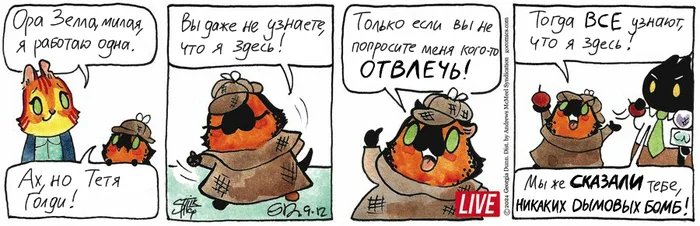 Koteikiny News from 09/12/2024 - My, Translation, Koteikin news (comic), Comics, cat