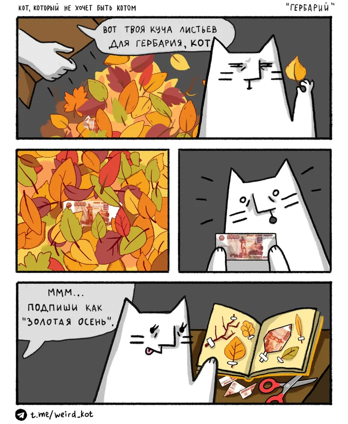 Comic about Cat No. 96 Herbarium - My, Weird_Tanya comics, Author's comic, Comics, cat, Humor, Autumn, Herbarium, Money