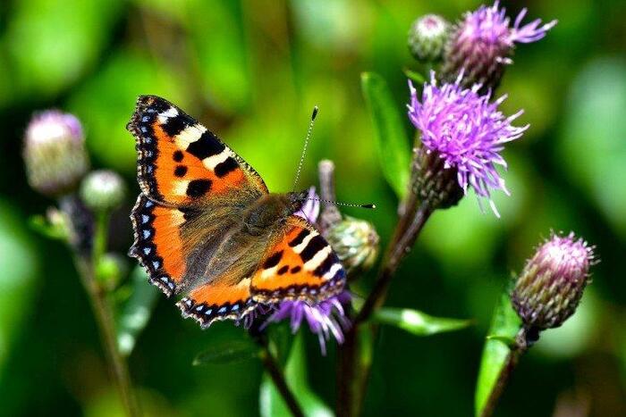 ���������� �� ������