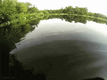  -   , , , 