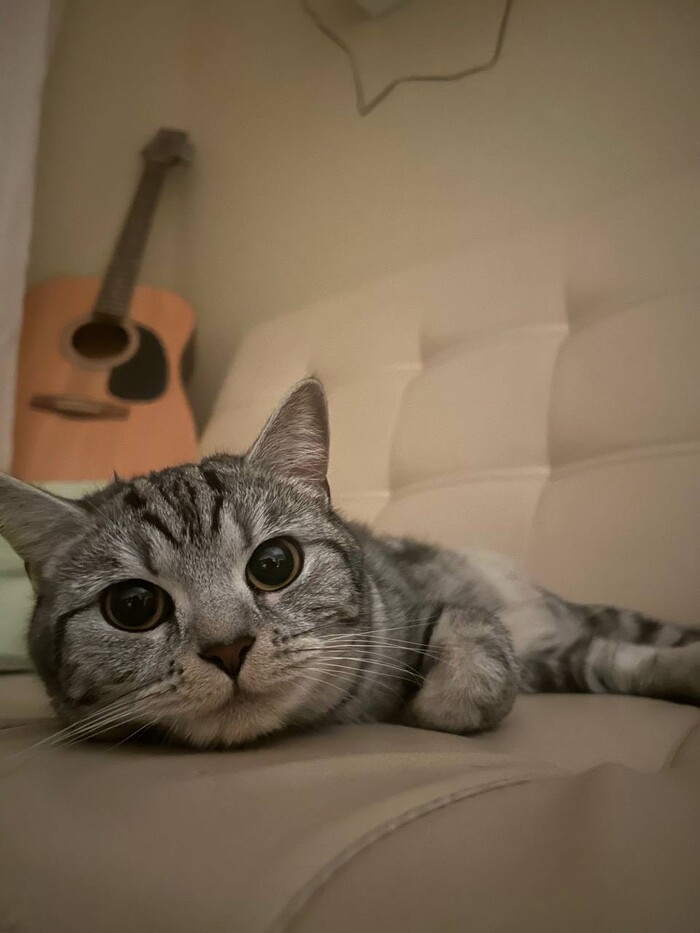 Плюс поставь, а !