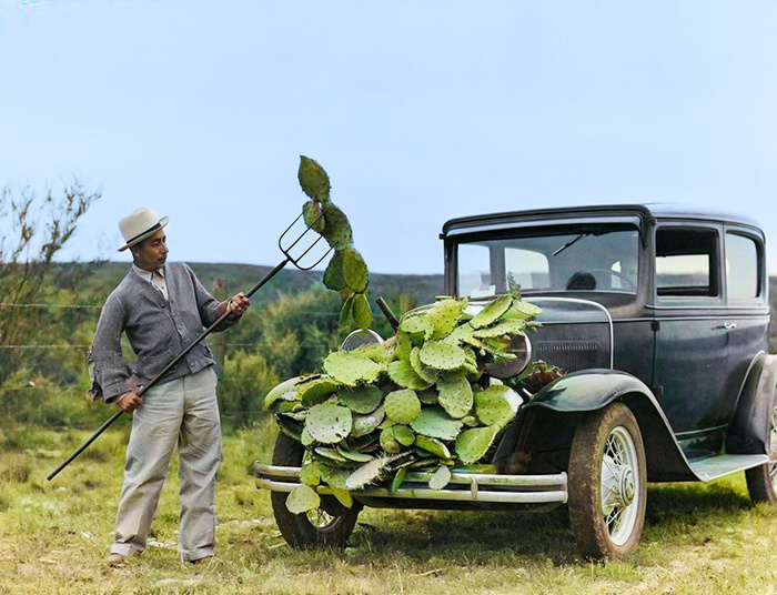 Подборка интересных и необычных фотографий из США. 20 раскрашенных фотографий ХХ века. Часть VII Старое фото, Историческое фото, Фотография, США, Колоризация, 20 век, Длиннопост