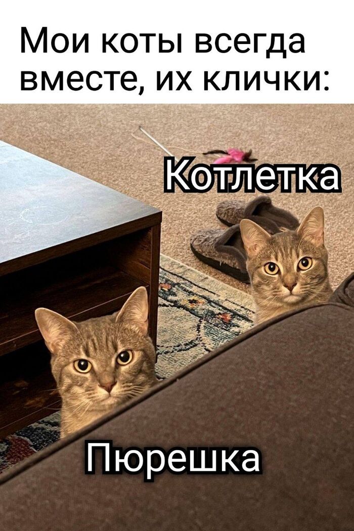 Совместимость 100%